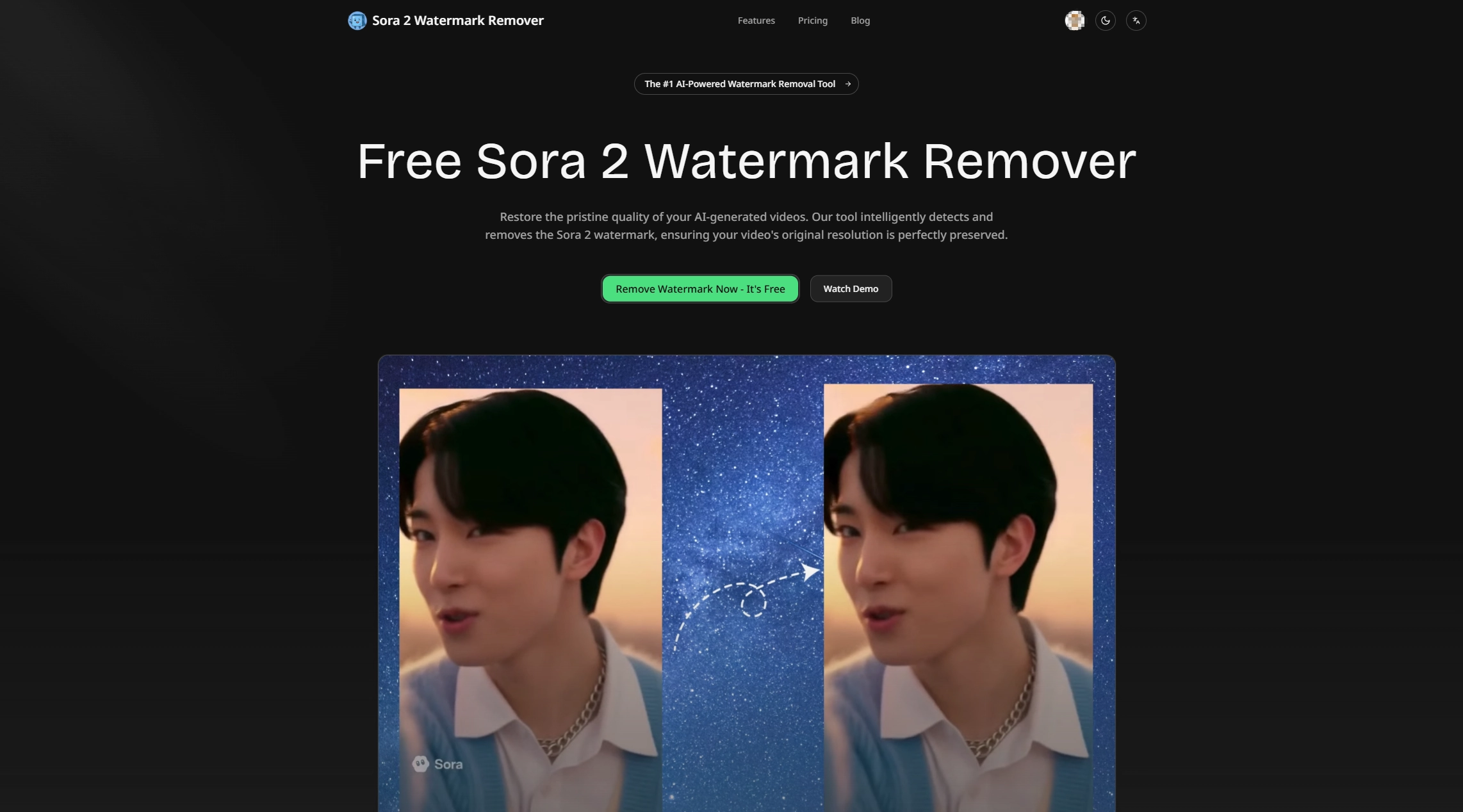 sorawatermarkremover.net hero